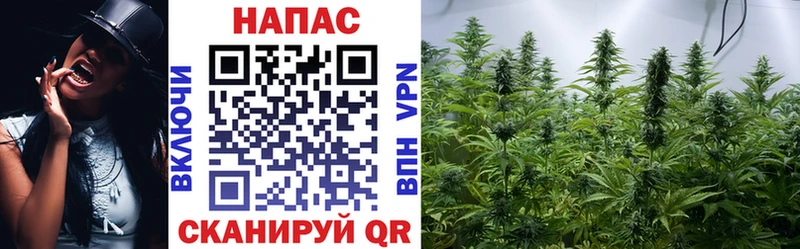 Бошки Шишки AK-47  купить наркотики цена  Мглин 